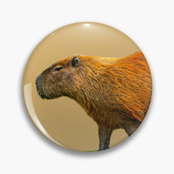 Item preview, Just romin Capy designed and sold by Dalyndigital Photography.