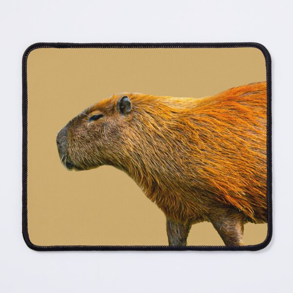 Item preview, Just romin Capy designed and sold by Dalyndigital Photography.