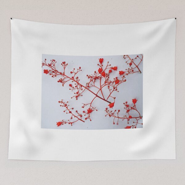 Item preview, Illawarra Flame Tree designed and sold by NinoSalina.