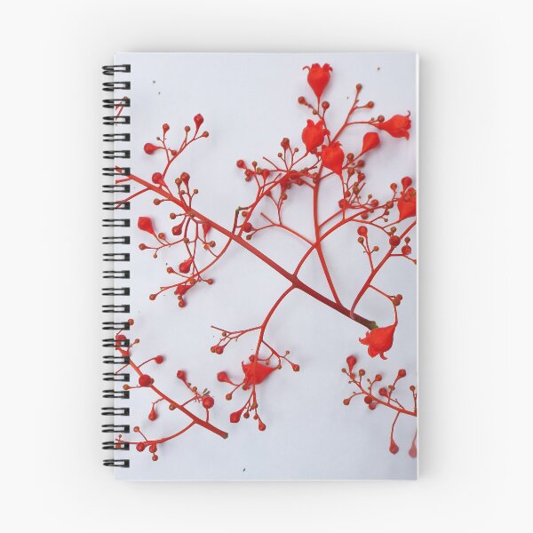 Item preview, Illawarra Flame Tree designed and sold by NinoSalina.