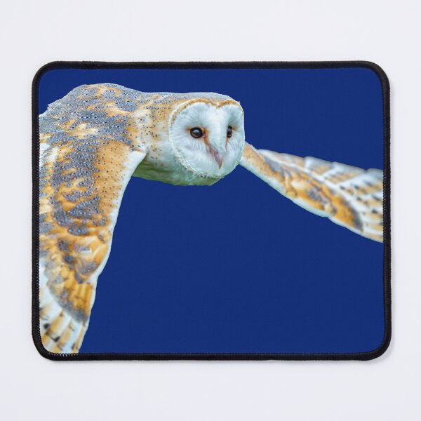 Item preview, Barn owl in flight designed and sold by Dalyndigital Photography.