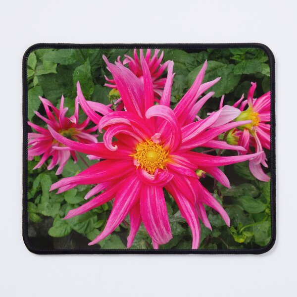 Item preview, Pink supernova designed and sold by Maxiverse.