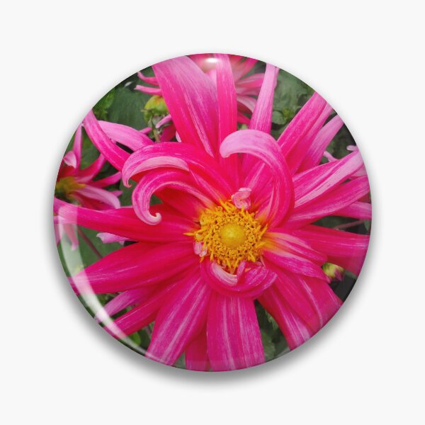 Item preview, Pink supernova designed and sold by Maxiverse.
