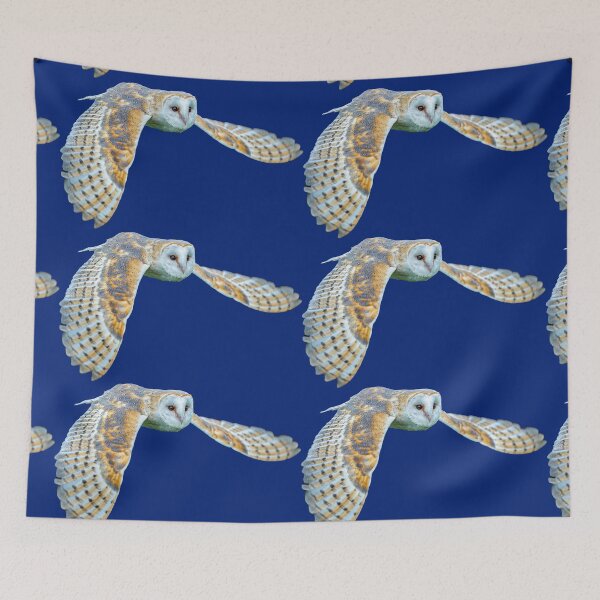 Item preview, Barn owl in flight designed and sold by Dalyndigital Photography.