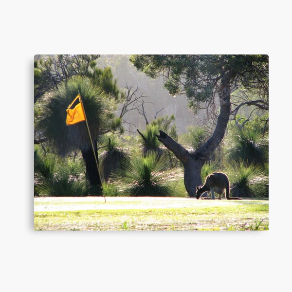 A Day On The Green Canvas Print