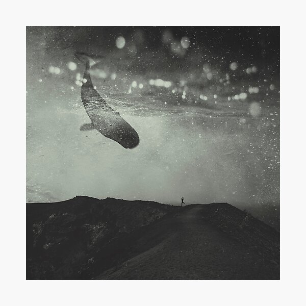 Photographic Print