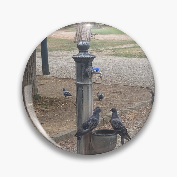 Item preview, pigeons in Arezzo designed and sold by countryboyyyyy.