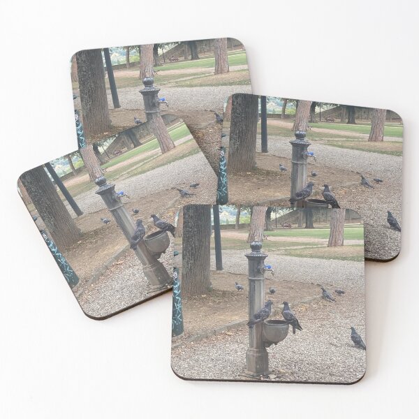 Item preview, pigeons in Arezzo designed and sold by countryboyyyyy.