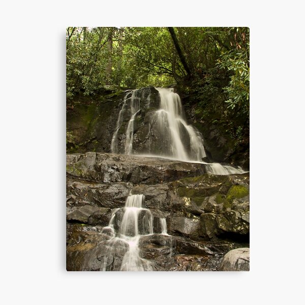 Laurel Falls Canvas Print