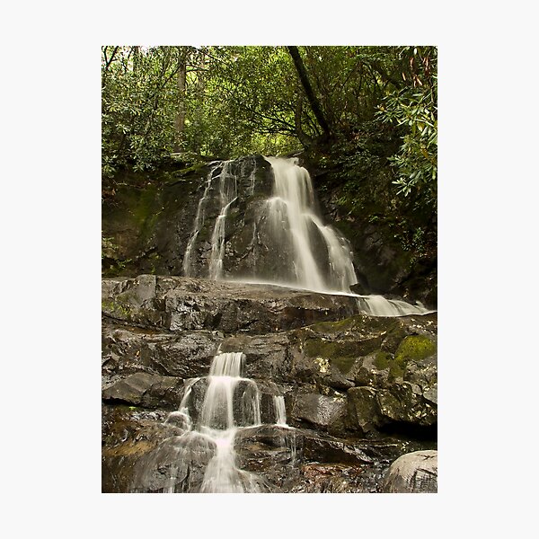 Laurel Falls Photographic Print