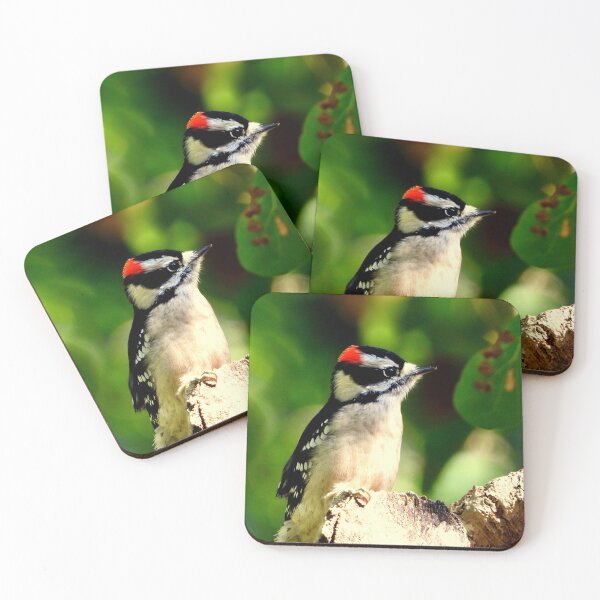 Item preview, Downy Woodpecker designed and sold by Barnbk02.