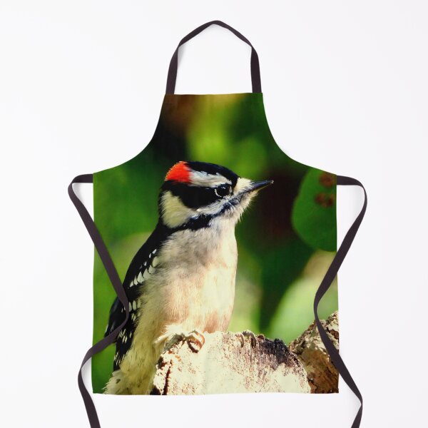 Item preview, Downy Woodpecker designed and sold by Barnbk02.