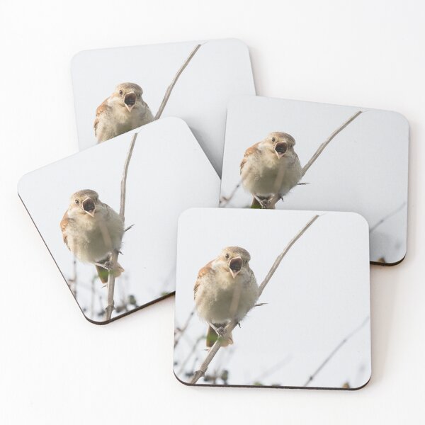 Artikelvorschau, Red Backed Shrike entworfen und verkauft von LaurenTucker.