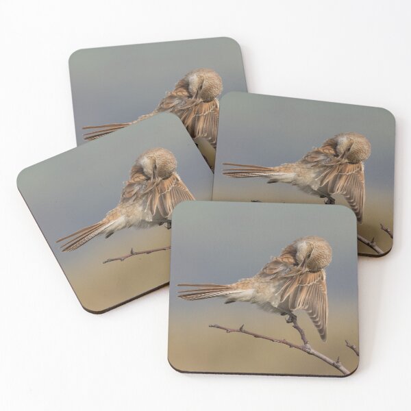 Item preview, Red Backed Shrike designed and sold by LaurenTucker.
