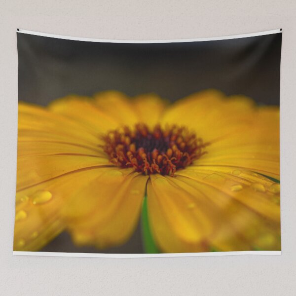 Item preview, Yellow Calendula designed and sold by SofiaAlves.