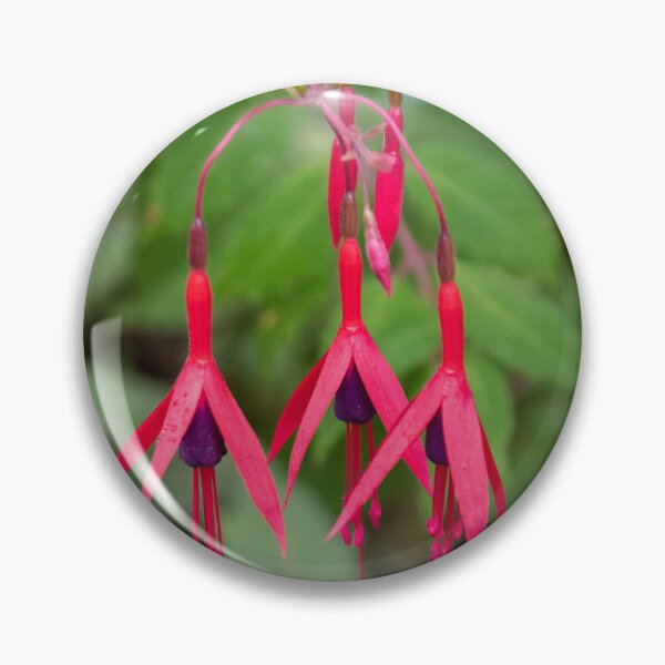 Item preview, Red fuchsia flowers with leaves in the background designed and sold by HazelWright.