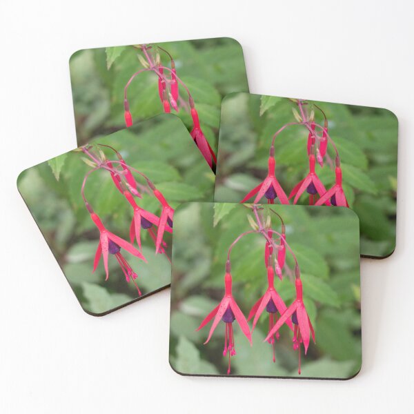 Item preview, Red fuchsia flowers with leaves in the background designed and sold by HazelWright.