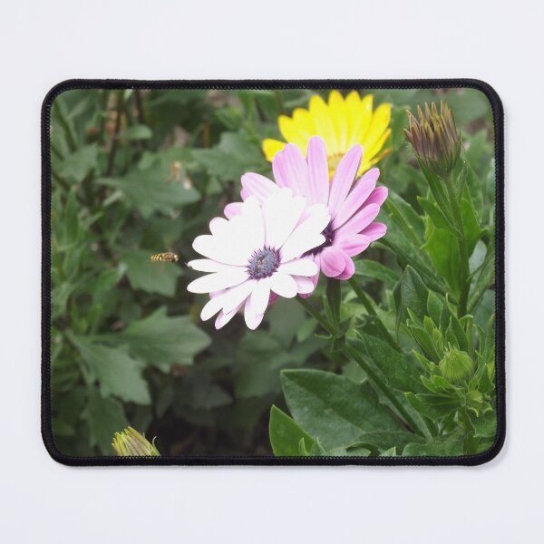 Item preview, Taste of the Sun designed and sold by MaFenVhenan.