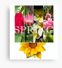Calendar Cover Image Canvas Print