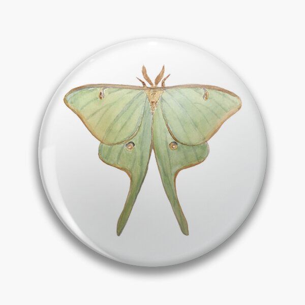 Item preview, Luna Moth Science and Nature Watercolor Illustration designed and sold by ModelOrganism.