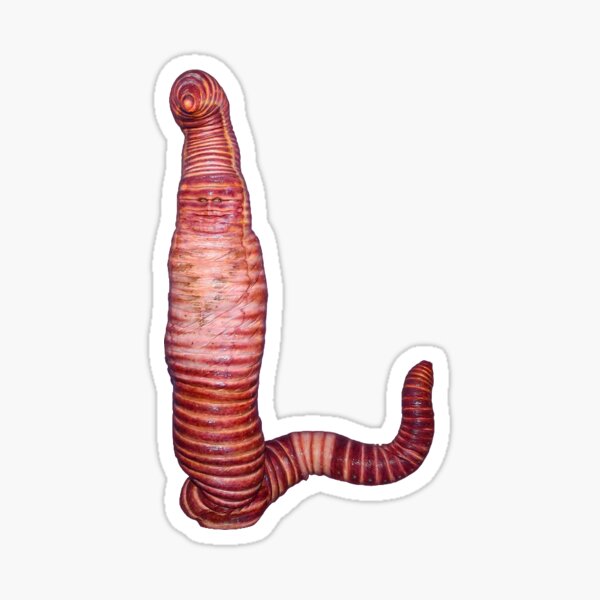 Würdest du mich immer noch lieben, wenn ich Heidi als Wurm verkleidet wäre? Lustige Klum Sticker