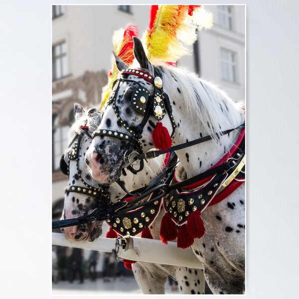 Item preview, Krakow Carriage Horses designed and sold by grantsykes.