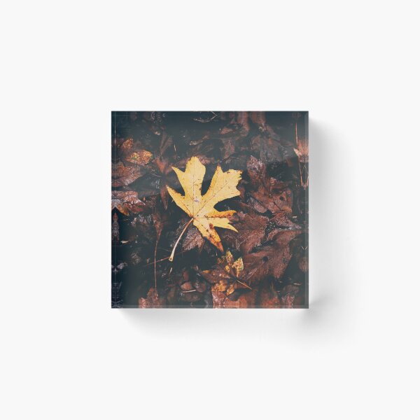 Item preview, Brown Autumn Leaves and a Single Gold Leaf designed and sold by LaPetiteStudio.