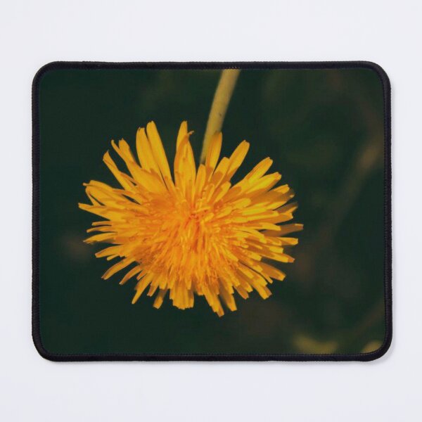 Item preview, yellow dandelion designed and sold by Francespoppy.