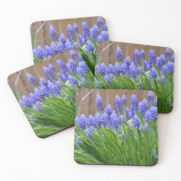 Item preview, So Many Muscari designed and sold by jazzy-bird.