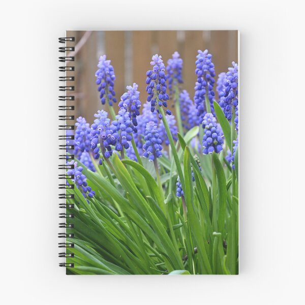 Item preview, So Many Muscari designed and sold by jazzy-bird.