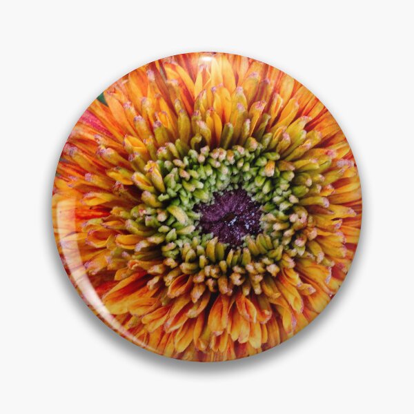 Item preview, Rudbeckia hirta designed and sold by Maxiverse.
