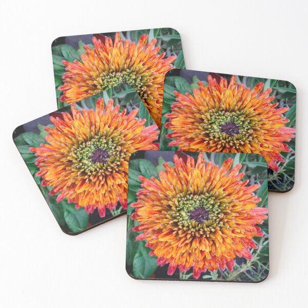 Item preview, Rudbeckia hirta designed and sold by Maxiverse.