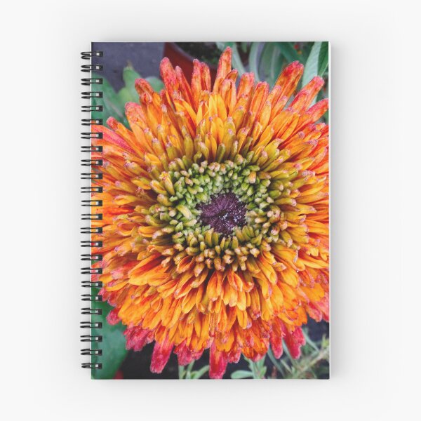Item preview, Rudbeckia hirta designed and sold by Maxiverse.