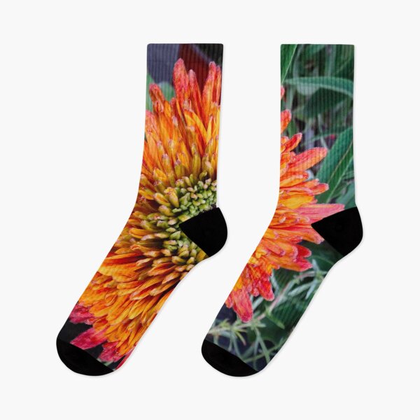 Item preview, Rudbeckia hirta designed and sold by Maxiverse.