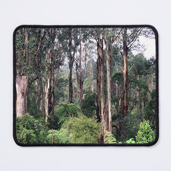 Item preview, Dandenong Ranges Rainforest, Victoria, Australia designed and sold by FranWest.