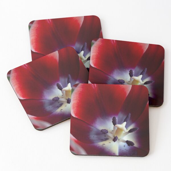 Item preview, Close-up of a tulip. designed and sold by StudioKTO.