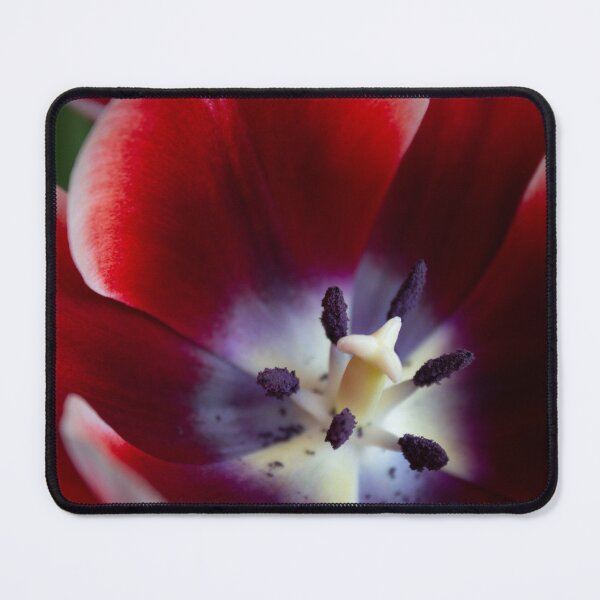 Item preview, Close-up of a tulip. designed and sold by StudioKTO.