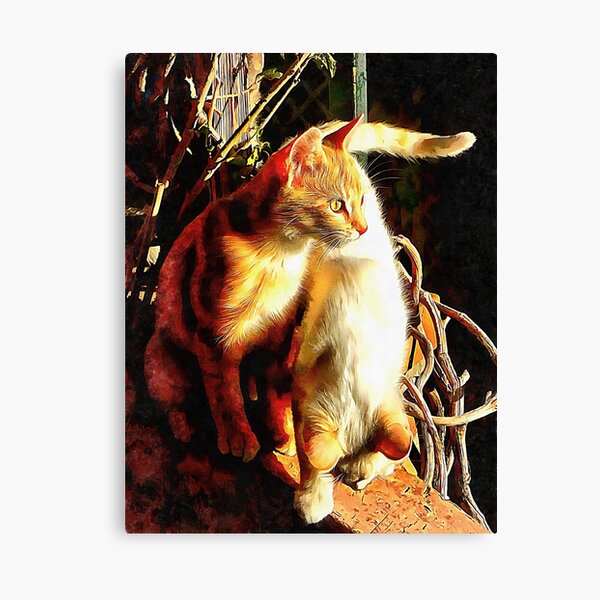 Sunlight Bathing Canvas Print
