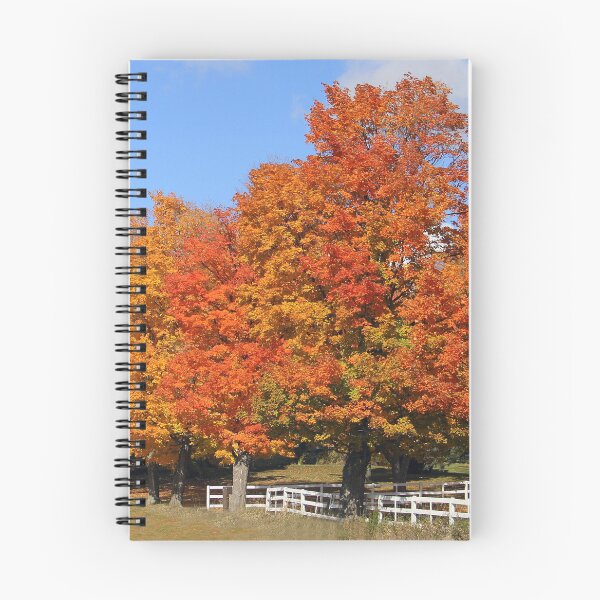 Item preview, Autumn in Canada, so beautiful designed and sold by vette.