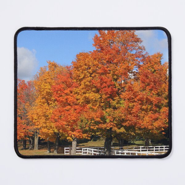 Item preview, Autumn in Canada, so beautiful designed and sold by vette.