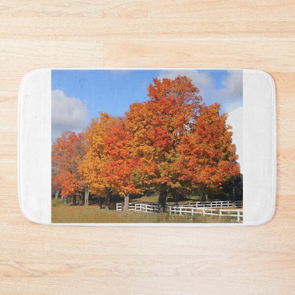 Item preview, Autumn in Canada, so beautiful designed and sold by vette.