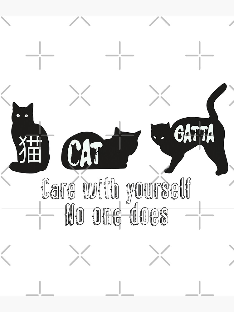 "cat quotes ,motivational quotes" Poster for Sale by AliDesigno Redbubble