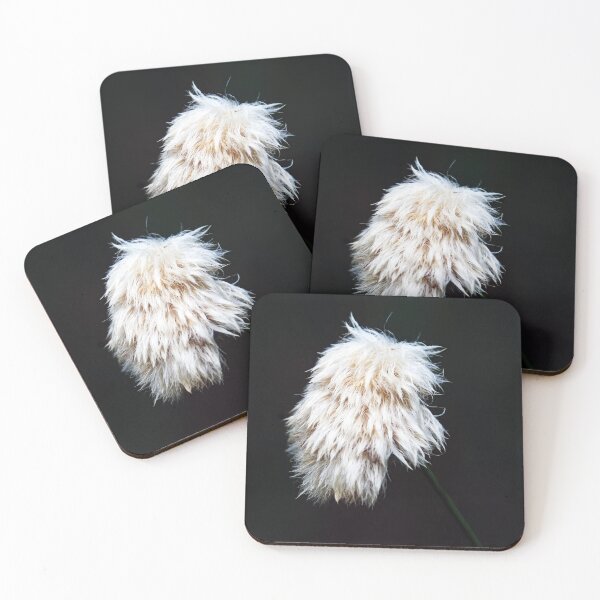 Item preview, Cotton Grass designed and sold by Deb Oppermann.