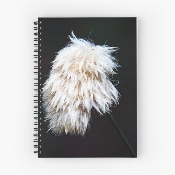 Item preview, Cotton Grass designed and sold by Deb Oppermann.