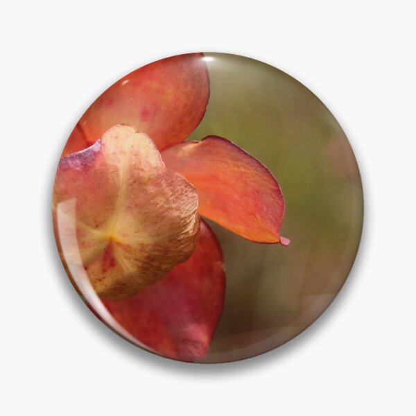 Item preview, Pitcher Plant Flower designed and sold by Deb Oppermann.