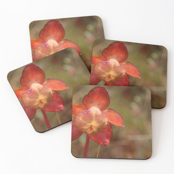 Item preview, Pitcher Plant Flower designed and sold by Deb Oppermann.