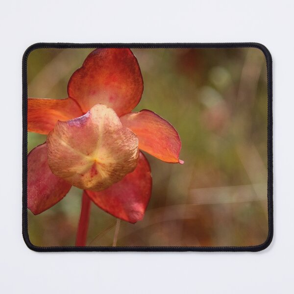 Item preview, Pitcher Plant Flower designed and sold by Deb Oppermann.