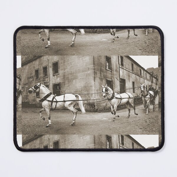Item preview, r447/ Finition 2022: The Happy Days of Haras de Saintes - Les jours Heureux du Haras de Saintes " 1846 - 2018 (sad) " Okaio Créations Olavia-Olao designed and sold by o.okaïo.