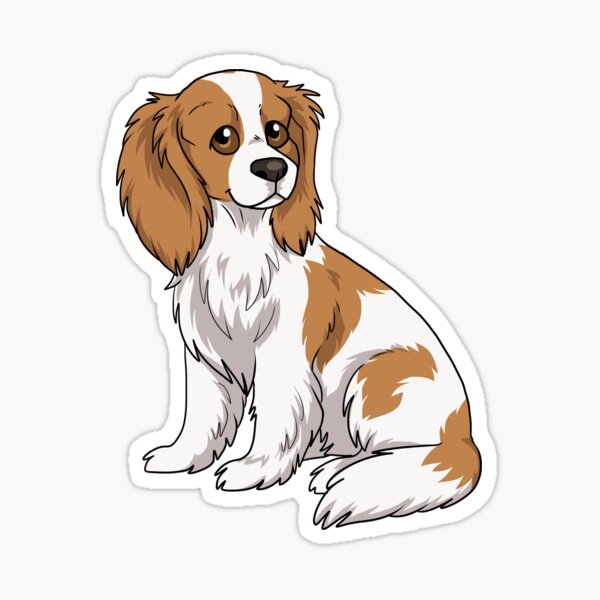Cavalier King Charles spaniel (Blenheim) Sticker