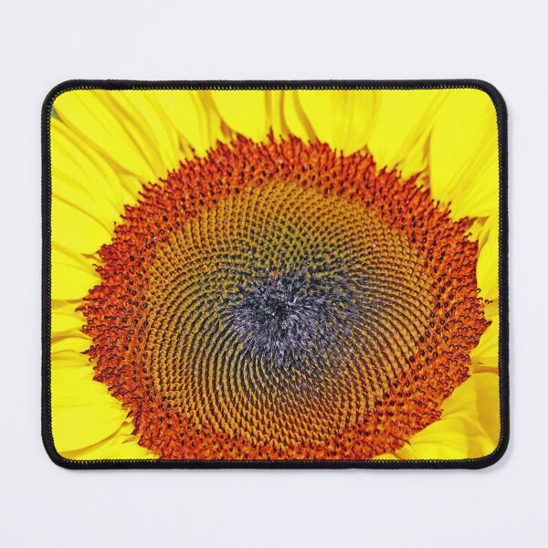 Item preview, Center Of Excellence designed and sold by Deb Oppermann.